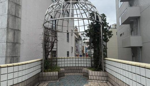 上野駅付近歩道橋上